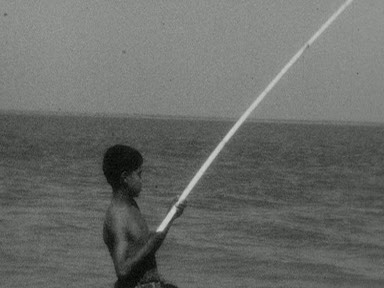 TOURS IN SOUTHERN BENGAL - IN THE SUNDERBANS