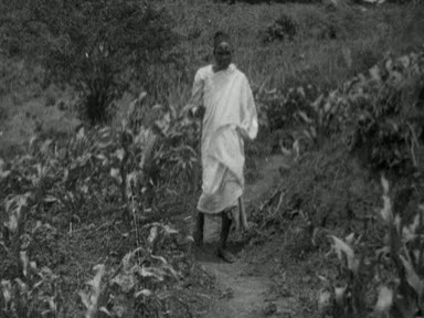 TROPICAL HOOKWORM