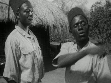 AFRICAN PEASANT FARMS - THE KINGOLWIRA EXPERIMENT