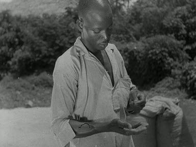 NIGERIAN COCOA FARMER